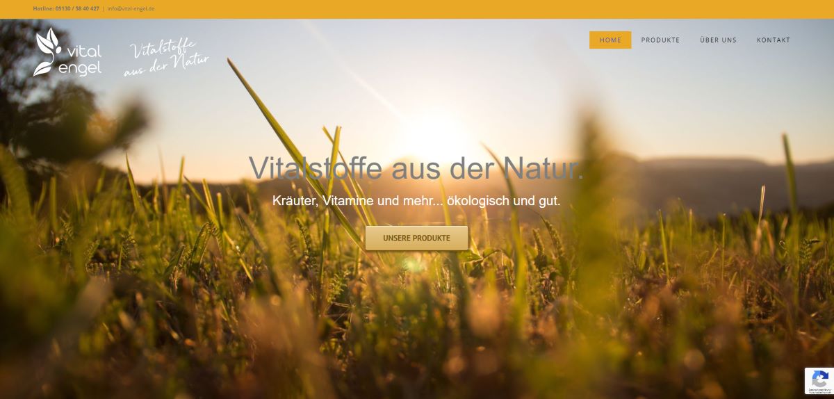 Vital Engel — Nahrungsergänzung — WordPress · Produkt-Website (Webseite)