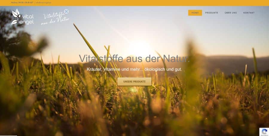 Vital Engel 900x456 1